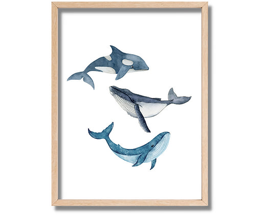 Cuadro 3 Ballenas 20x30